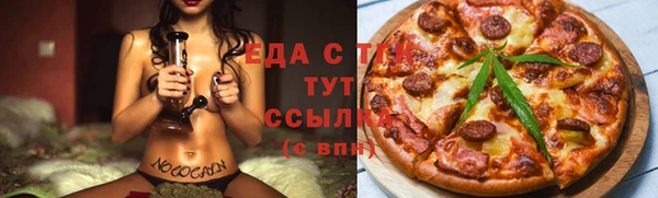 индика Зеленодольск