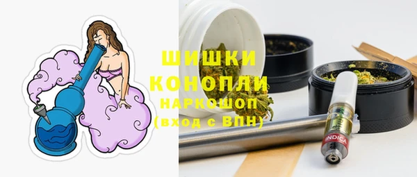 индика Зеленодольск