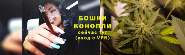 индика Зеленодольск