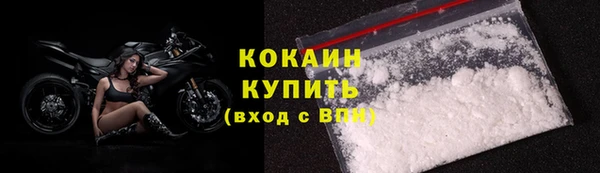 индика Зеленодольск