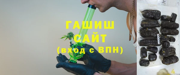 индика Зеленодольск
