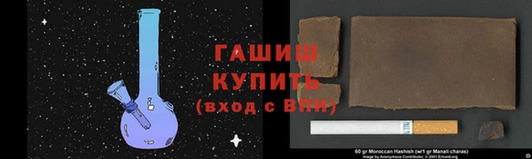 индика Зеленодольск
