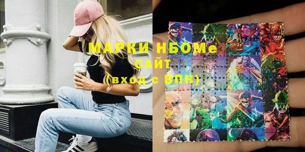 индика Зеленодольск
