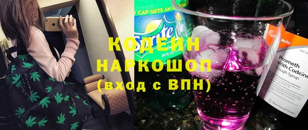 индика Зеленодольск