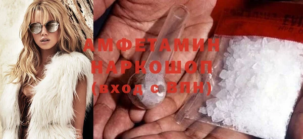 индика Зеленодольск